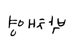 KPOP Black Pink(블랙핑크、ブラックピンク) 로제 (ロゼ) 応援ボード ハングル 型紙  左右反転