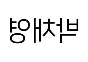 KPOP Black Pink(블랙핑크、ブラックピンク) 로제 (ロゼ) プリント用応援ボード型紙、うちわ型紙　韓国語/ハングル文字型紙 左右反転
