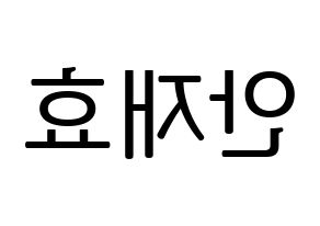 KPOP Block B(블락비、ブロックビー) 재효 (ジェヒョ) プリント用応援ボード型紙、うちわ型紙　韓国語/ハングル文字型紙 左右反転