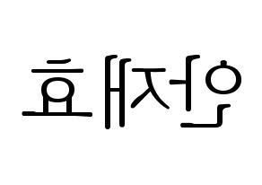 KPOP Block B(블락비、ブロックビー) 재효 (ジェヒョ) 応援ボード・うちわ　韓国語/ハングル文字型紙 左右反転