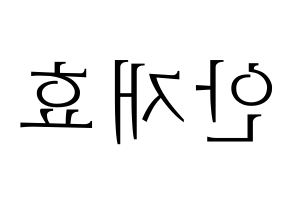 KPOP Block B(블락비、ブロックビー) 재효 (ジェヒョ) 応援ボード・うちわ　韓国語/ハングル文字型紙 左右反転