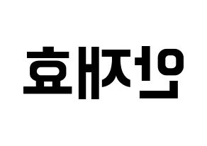 KPOP Block B(블락비、ブロックビー) 재효 (ジェヒョ) k-pop アイドル名前 ファンサボード 型紙 左右反転