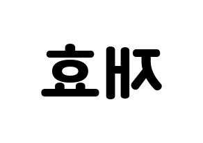 KPOP Block B(블락비、ブロックビー) 재효 (ジェヒョ) 応援ボード・うちわ　韓国語/ハングル文字型紙 左右反転