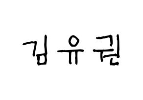 KPOP Block B(블락비、ブロックビー) 유권 (ユグォン) 名前 応援ボード 作り方 通常