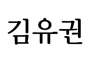 KPOP Block B(블락비、ブロックビー) 유권 (ユグォン) プリント用応援ボード型紙、うちわ型紙　韓国語/ハングル文字型紙 通常