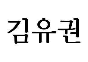 KPOP Block B(블락비、ブロックビー) 유권 (ユグォン) プリント用応援ボード型紙、うちわ型紙　韓国語/ハングル文字型紙 通常