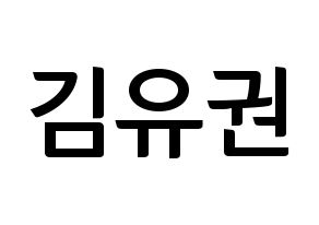KPOP Block B(블락비、ブロックビー) 유권 (ユグォン) k-pop アイドル名前 ファンサボード 型紙 通常