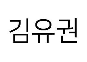 KPOP Block B(블락비、ブロックビー) 유권 (ユグォン) プリント用応援ボード型紙、うちわ型紙　韓国語/ハングル文字型紙 通常