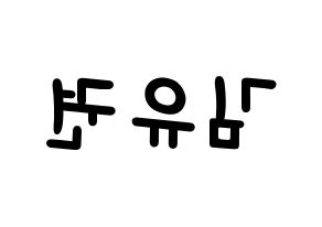 KPOP Block B(블락비、ブロックビー) 유권 (ユグォン) 名前 応援ボード 作り方 左右反転
