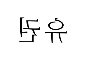 KPOP Block B(블락비、ブロックビー) 유권 (ユグォン) 応援ボード・うちわ　韓国語/ハングル文字型紙 左右反転