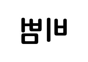 KPOP Block B(블락비、ブロックビー) 비범 (イ・ミニョク, ビボム) k-pop アイドル名前　ボード 言葉 左右反転