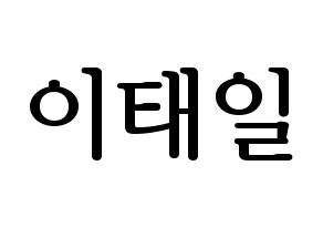 KPOP Block B(블락비、ブロックビー) 태일 (テイル) プリント用応援ボード型紙、うちわ型紙　韓国語/ハングル文字型紙 通常