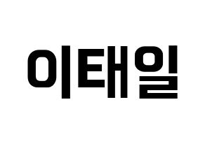 KPOP Block B(블락비、ブロックビー) 태일 (テイル) k-pop アイドル名前 ファンサボード 型紙 通常