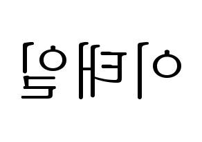 KPOP Block B(블락비、ブロックビー) 태일 (テイル) 応援ボード・うちわ　韓国語/ハングル文字型紙 左右反転