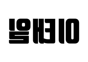 KPOP Block B(블락비、ブロックビー) 태일 (テイル) コンサート用　応援ボード・うちわ　韓国語/ハングル文字型紙 左右反転