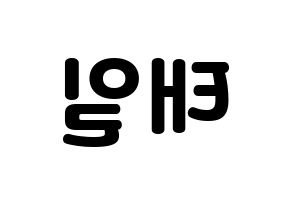 KPOP Block B(블락비、ブロックビー) 태일 (テイル) 応援ボード・うちわ　韓国語/ハングル文字型紙 左右反転