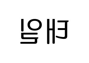 KPOP Block B(블락비、ブロックビー) 태일 (テイル) プリント用応援ボード型紙、うちわ型紙　韓国語/ハングル文字型紙 左右反転