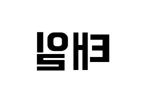 KPOP Block B(블락비、ブロックビー) 태일 (テイル) k-pop アイドル名前 ファンサボード 型紙 左右反転
