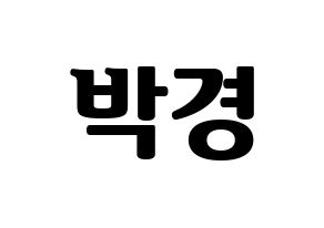 KPOP Block B(블락비、ブロックビー) 박경 (パッキョン) コンサート用　応援ボード・うちわ　韓国語/ハングル文字型紙 通常