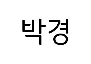 KPOP Block B(블락비、ブロックビー) 박경 (パッキョン) コンサート用　応援ボード・うちわ　韓国語/ハングル文字型紙 通常