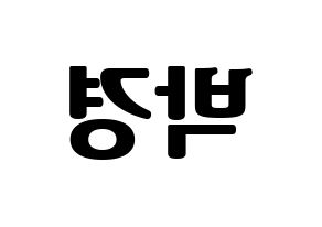 KPOP Block B(블락비、ブロックビー) 박경 (パッキョン) コンサート用　応援ボード・うちわ　韓国語/ハングル文字型紙 左右反転