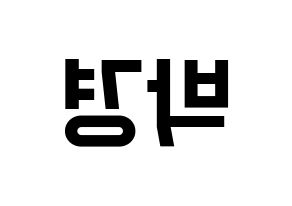 KPOP Block B(블락비、ブロックビー) 박경 (パッキョン) 名前 応援ボード 作り方 左右反転