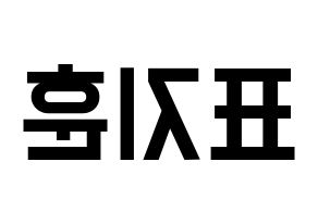 KPOP Block B(블락비、ブロックビー) 피오 (ピオ) 名前 応援ボード 作り方 左右反転