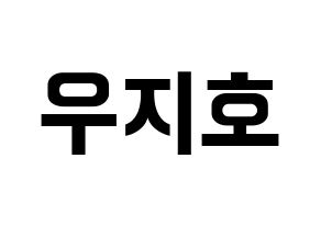 KPOP Block B(블락비、ブロックビー) 지코 (ジコ) k-pop アイドル名前 ファンサボード 型紙 通常