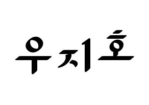 KPOP Block B(블락비、ブロックビー) 지코 (ジコ) 応援ボード ハングル 型紙  通常