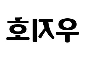 KPOP Block B(블락비、ブロックビー) 지코 (ジコ) コンサート用　応援ボード・うちわ　韓国語/ハングル文字型紙 左右反転