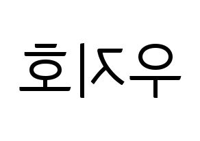 KPOP Block B(블락비、ブロックビー) 지코 (ジコ) コンサート用　応援ボード・うちわ　韓国語/ハングル文字型紙 左右反転