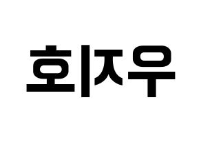 KPOP Block B(블락비、ブロックビー) 지코 (ジコ) k-pop アイドル名前 ファンサボード 型紙 左右反転