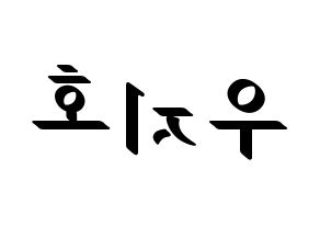 KPOP Block B(블락비、ブロックビー) 지코 (ジコ) 応援ボード ハングル 型紙  左右反転