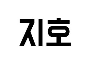 KPOP Block B(블락비、ブロックビー) 지코 (ジコ) 名前 応援ボード 作り方 通常