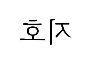 KPOP Block B(블락비、ブロックビー) 지코 (ジコ) 応援ボード・うちわ　韓国語/ハングル文字型紙 左右反転