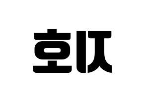 KPOP Block B(블락비、ブロックビー) 지코 (ジコ) コンサート用　応援ボード・うちわ　韓国語/ハングル文字型紙 左右反転