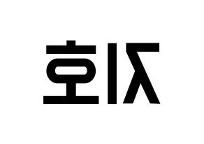 KPOP Block B(블락비、ブロックビー) 지코 (ジコ) 名前 応援ボード 作り方 左右反転