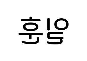 KPOP BTOB(비투비、ビートゥービー) 일훈 (チョン・イルフン, イルフン) 無料サイン会用、イベント会用応援ボード型紙 左右反転