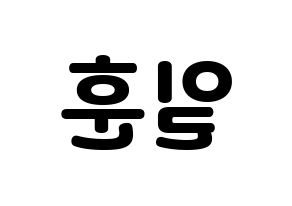 KPOP BTOB(비투비、ビートゥービー) 일훈 (イルフン) 応援ボード・うちわ　韓国語/ハングル文字型紙 左右反転