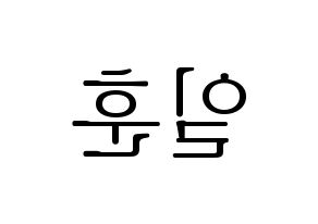 KPOP BTOB(비투비、ビートゥービー) 일훈 (イルフン) 応援ボード・うちわ　韓国語/ハングル文字型紙 左右反転