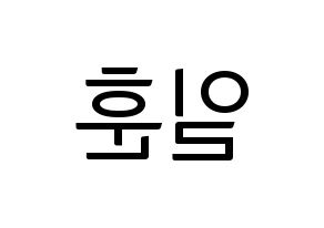 KPOP BTOB(비투비、ビートゥービー) 일훈 (イルフン) コンサート用　応援ボード・うちわ　韓国語/ハングル文字型紙 左右反転