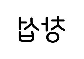 KPOP BTOB(비투비、ビートゥービー) 창섭 (イ・チャンソプ, チャンソプ) 無料サイン会用、イベント会用応援ボード型紙 左右反転