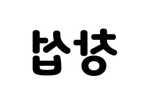 KPOP BTOB(비투비、ビートゥービー) 창섭 (チャンソプ) 応援ボード・うちわ　韓国語/ハングル文字型紙 左右反転