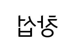 KPOP BTOB(비투비、ビートゥービー) 창섭 (チャンソプ) コンサート用　応援ボード・うちわ　韓国語/ハングル文字型紙 左右反転