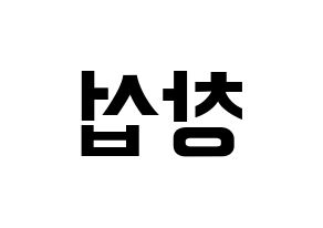 KPOP BTOB(비투비、ビートゥービー) 창섭 (チャンソプ) k-pop アイドル名前 ファンサボード 型紙 左右反転