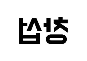KPOP BTOB(비투비、ビートゥービー) 창섭 (チャンソプ) 名前 応援ボード 作り方 左右反転