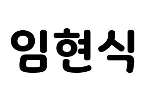 KPOP BTOB(비투비、ビートゥービー) 현식 (ヒョンシク) 応援ボード・うちわ　韓国語/ハングル文字型紙 通常
