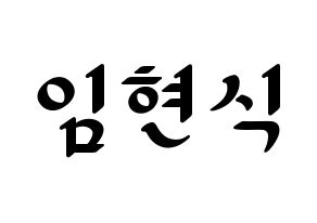 KPOP BTOB(비투비、ビートゥービー) 현식 (ヒョンシク) 応援ボード ハングル 型紙  通常