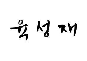 KPOP BTOB(비투비、ビートゥービー) 성재 (ユク・ソンジェ, ソンジェ) 応援ボード、うちわ無料型紙、応援グッズ 通常