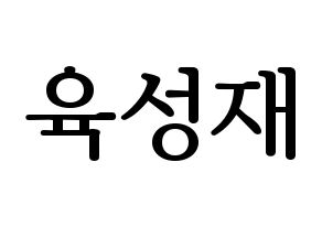 KPOP BTOB(비투비、ビートゥービー) 성재 (ソンジェ) プリント用応援ボード型紙、うちわ型紙　韓国語/ハングル文字型紙 通常